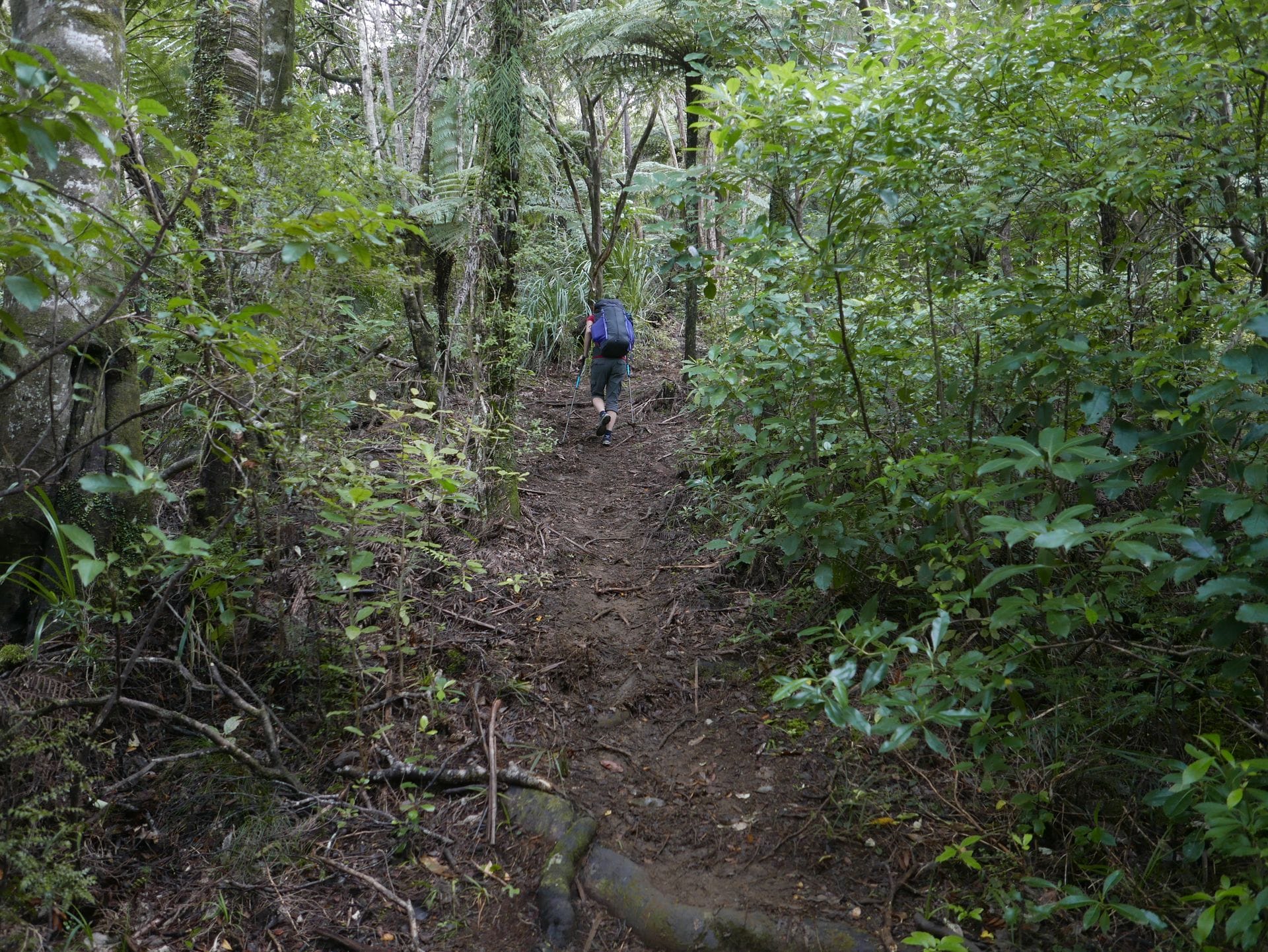 Ahipara zum Apple Dam Campsite