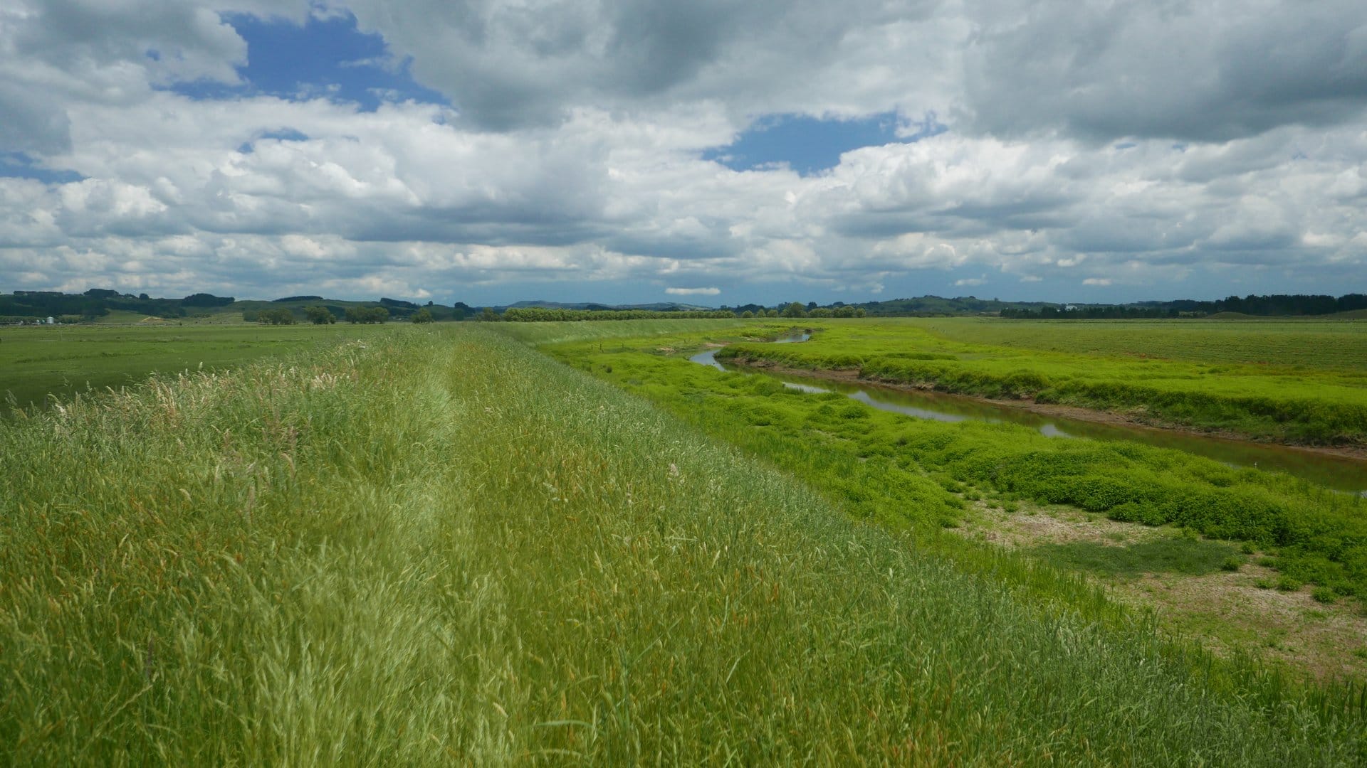 Benjamins Farm bis Hamilton