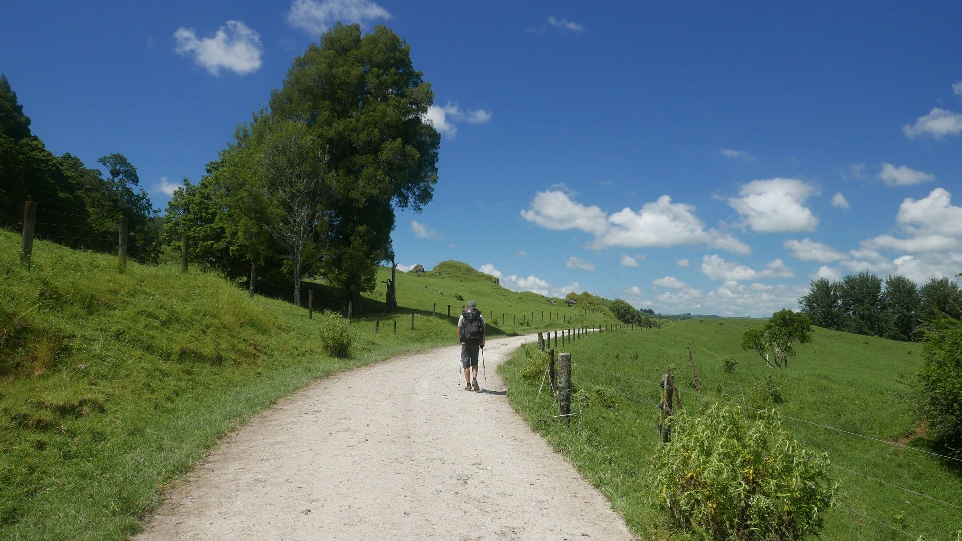 Tom & Hannahs bis Mangaokewa Reserve