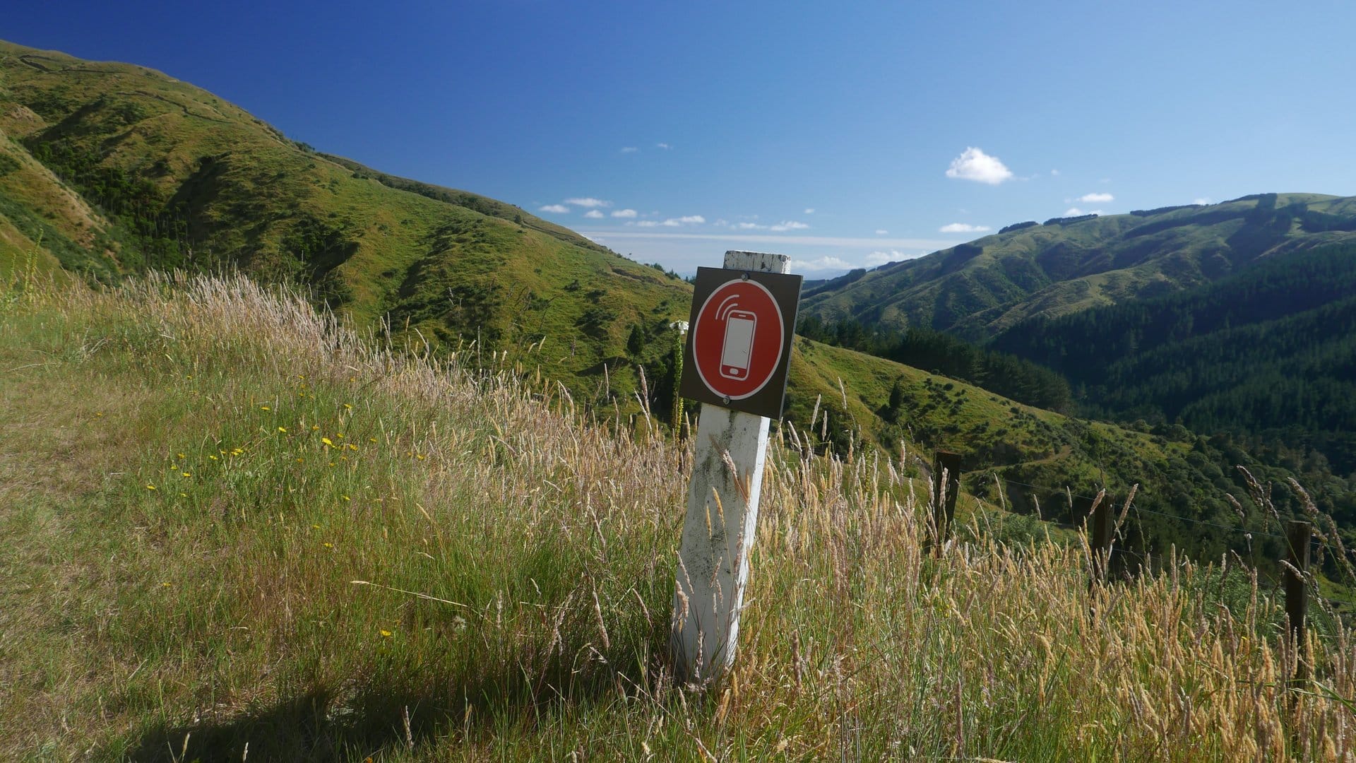 Palmerston North bis zum Makahika Outdoor Pursuits Center