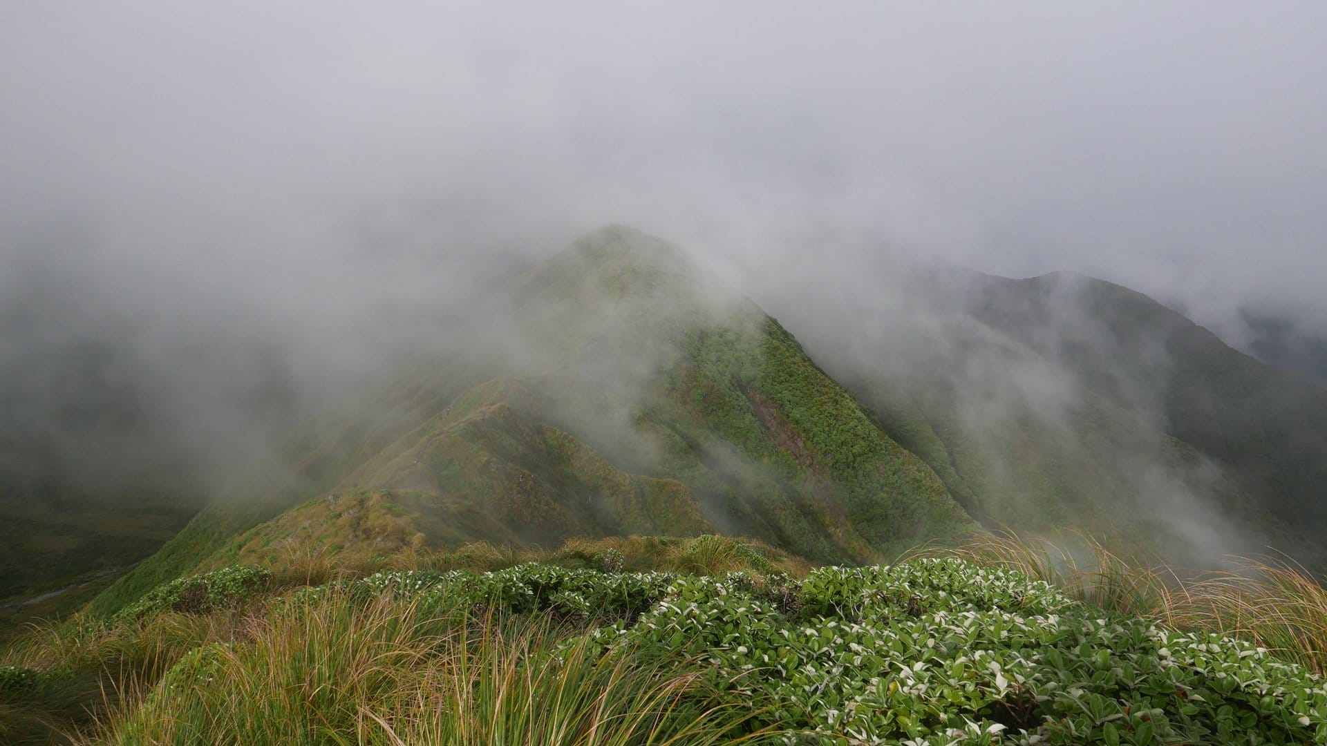 Makahika Outdoor Pursuits Center bis zum Parawai Hut