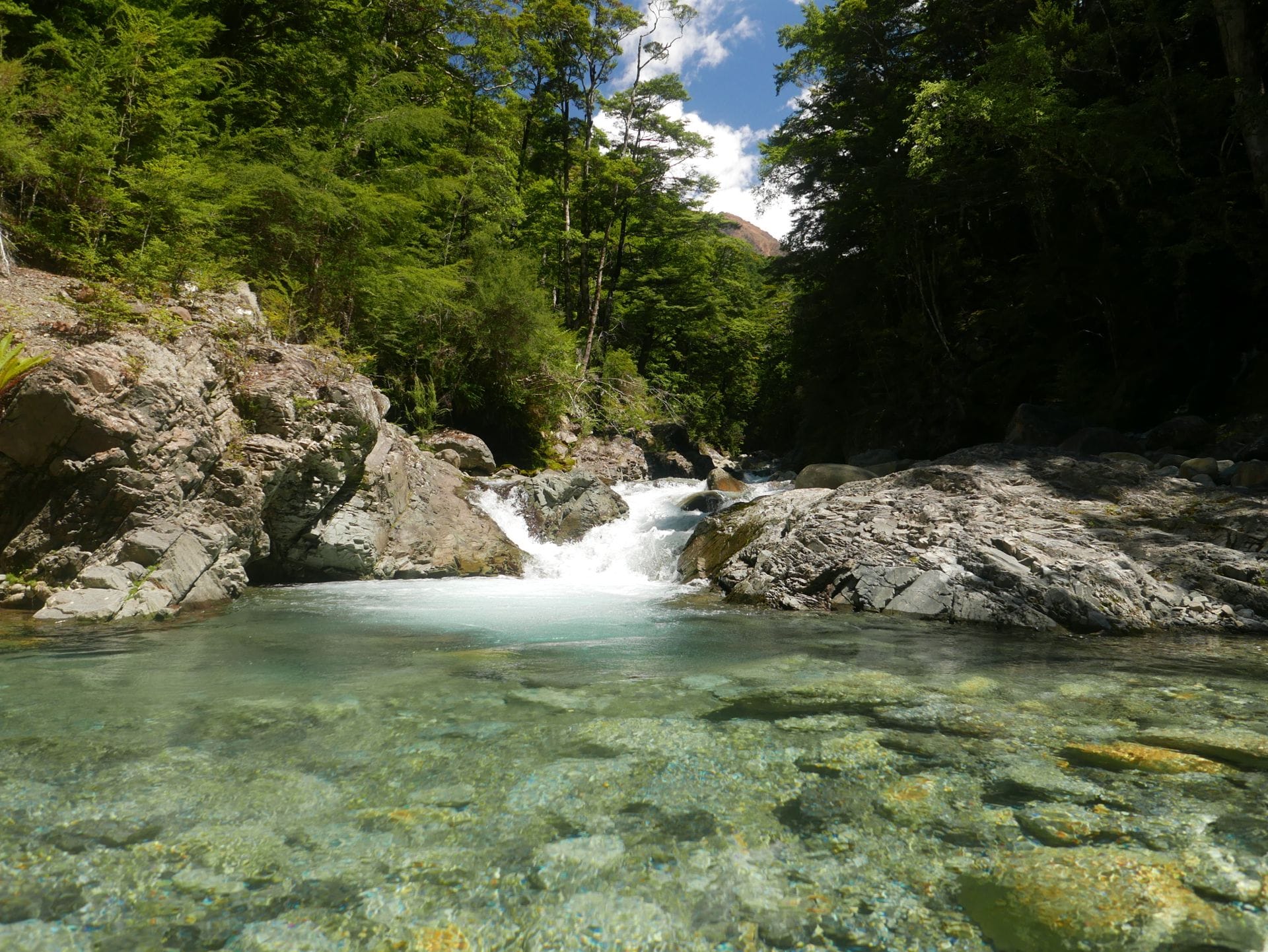 Tarn Hut nach St. Arnaud