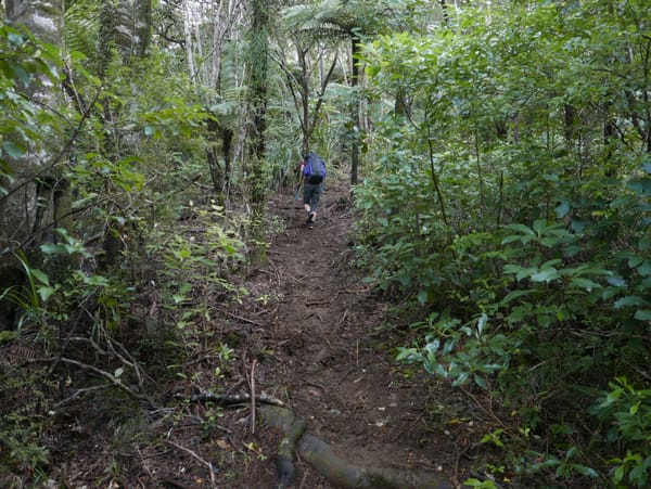Ahipara zum Apple Dam Campsite