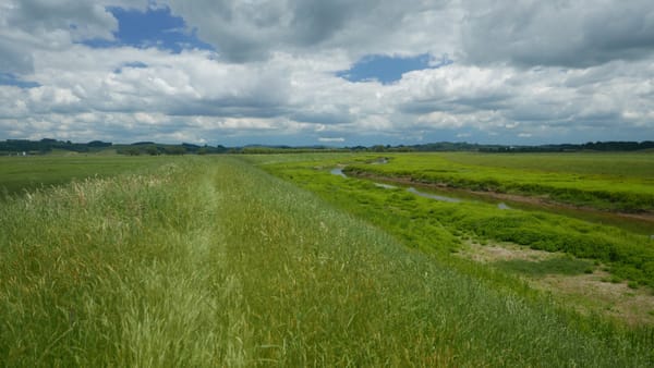 Benjamins Farm bis Hamilton