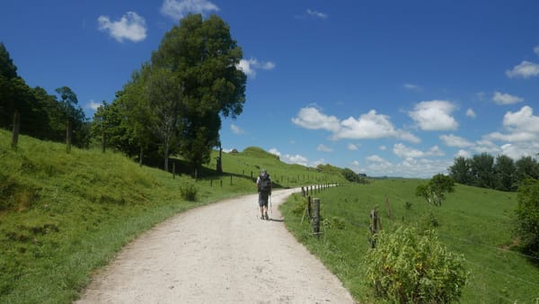 Tom & Hannahs bis Mangaokewa Reserve