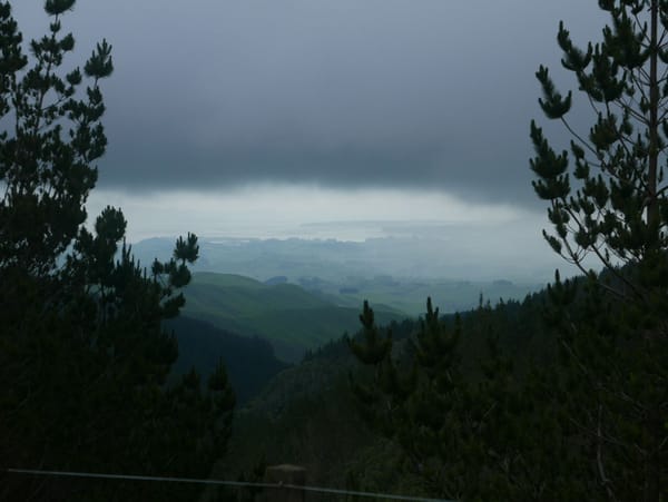 Hamilton bis Tom & Hannah's