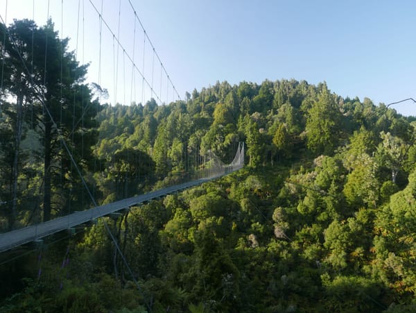 Kurz vor Piropiro bis Taumarunui