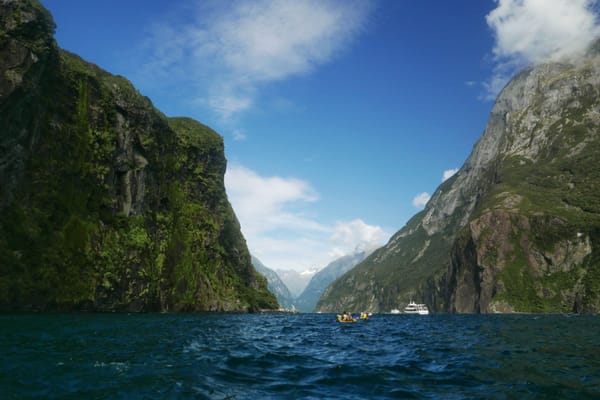 Ausflug ins Fiordland