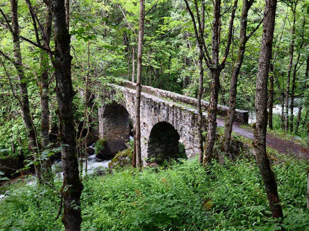 Brücke