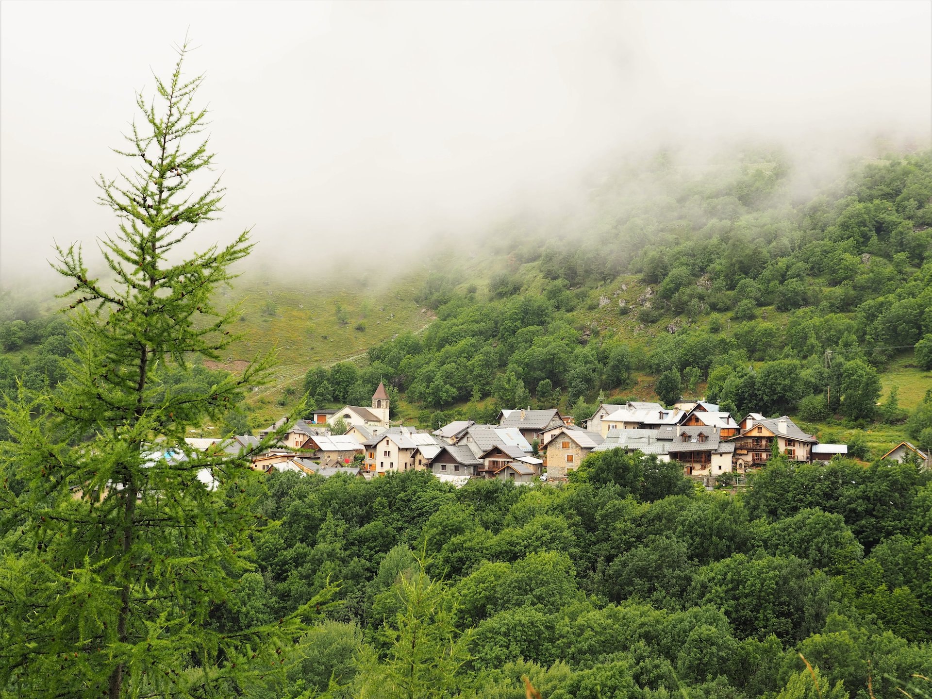 Dorf