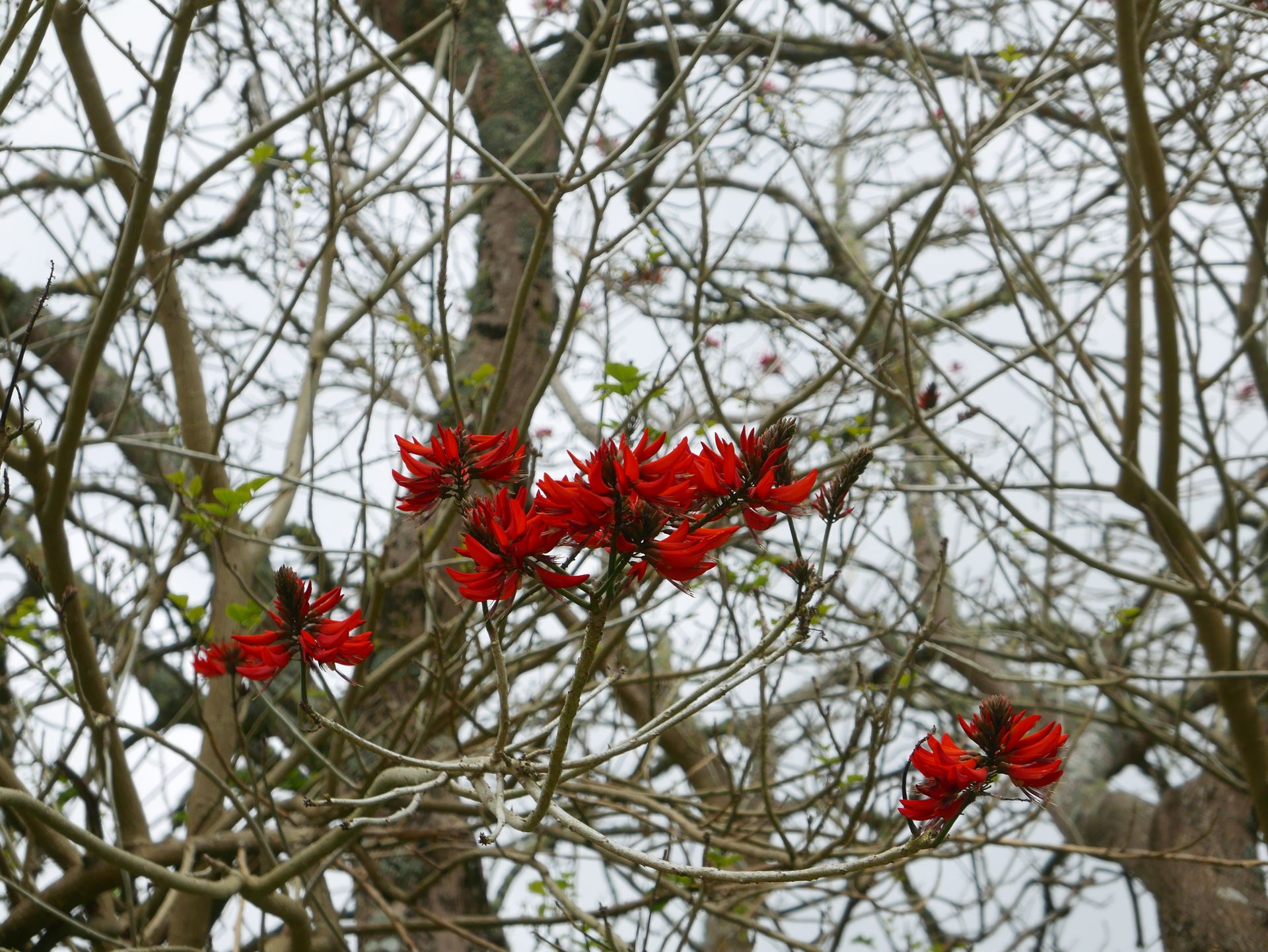 P1020776