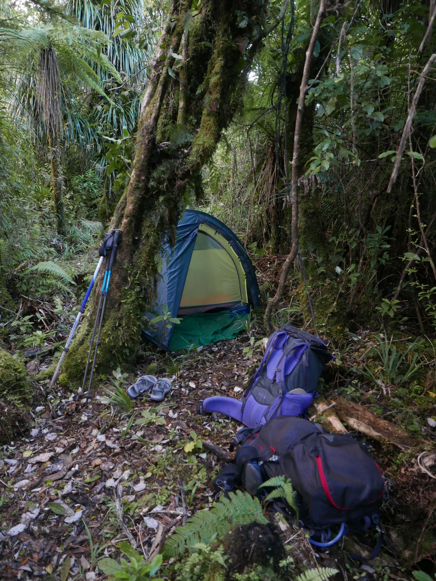 P1020793