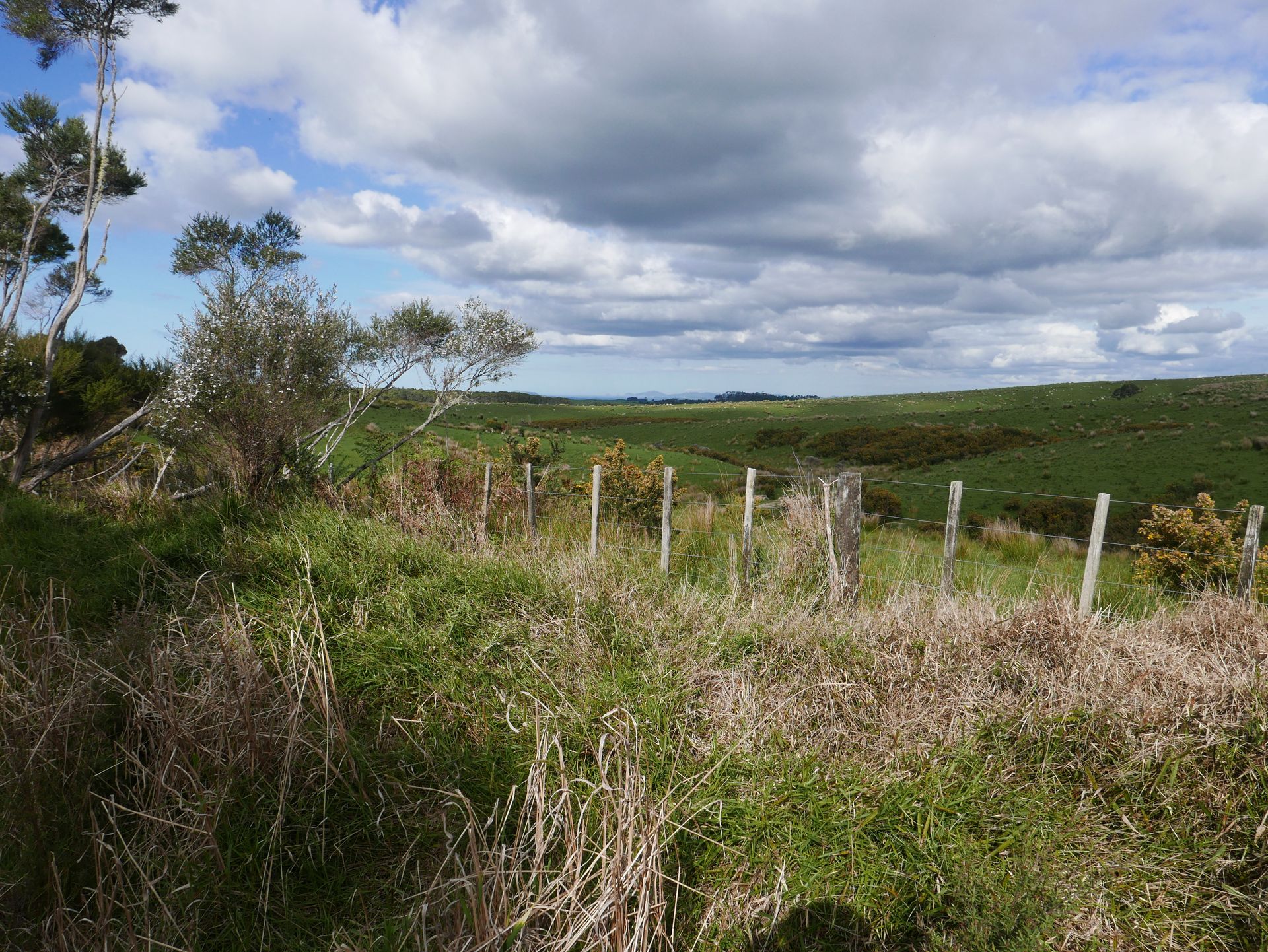 P1020870