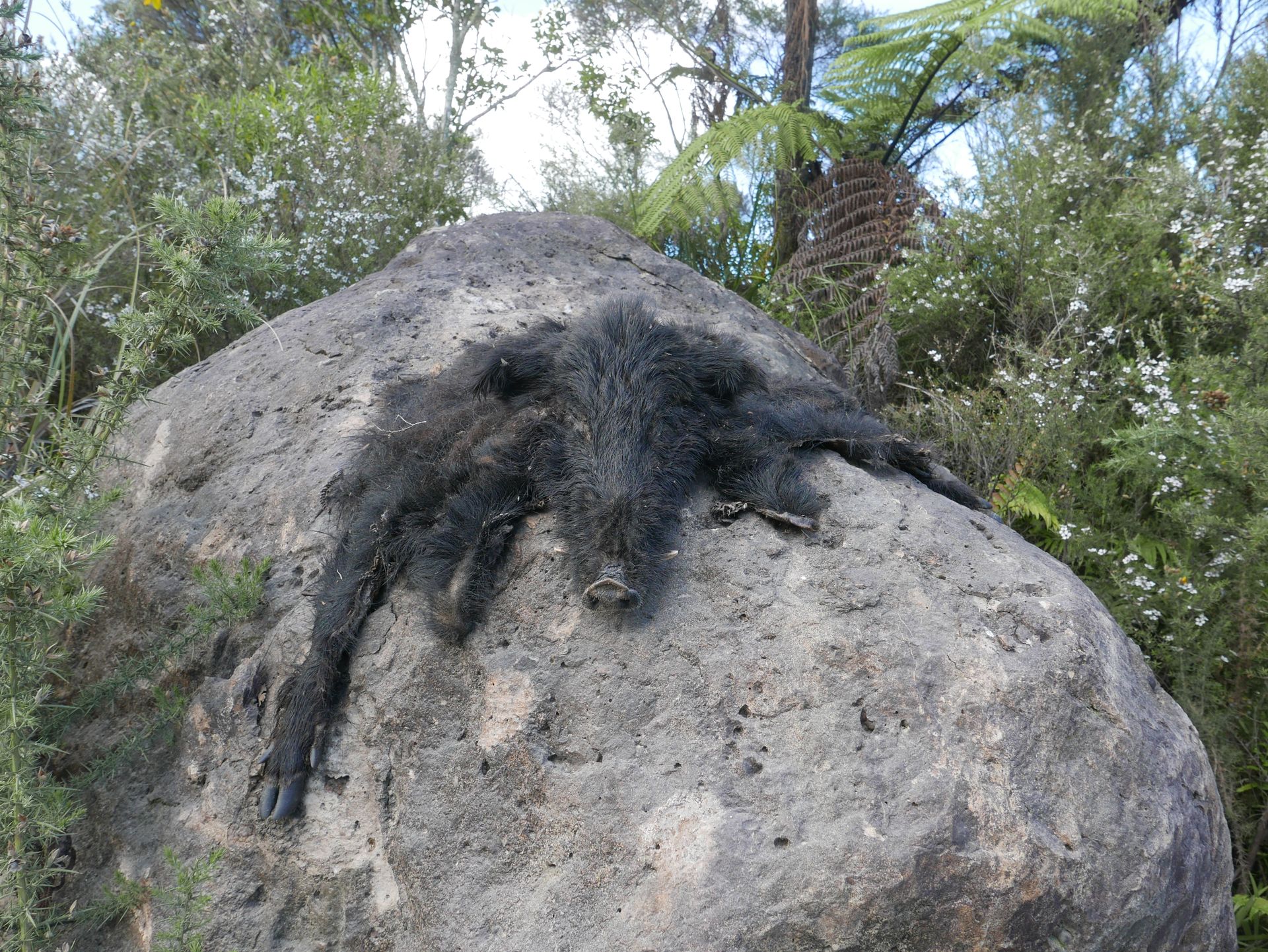 P1020878