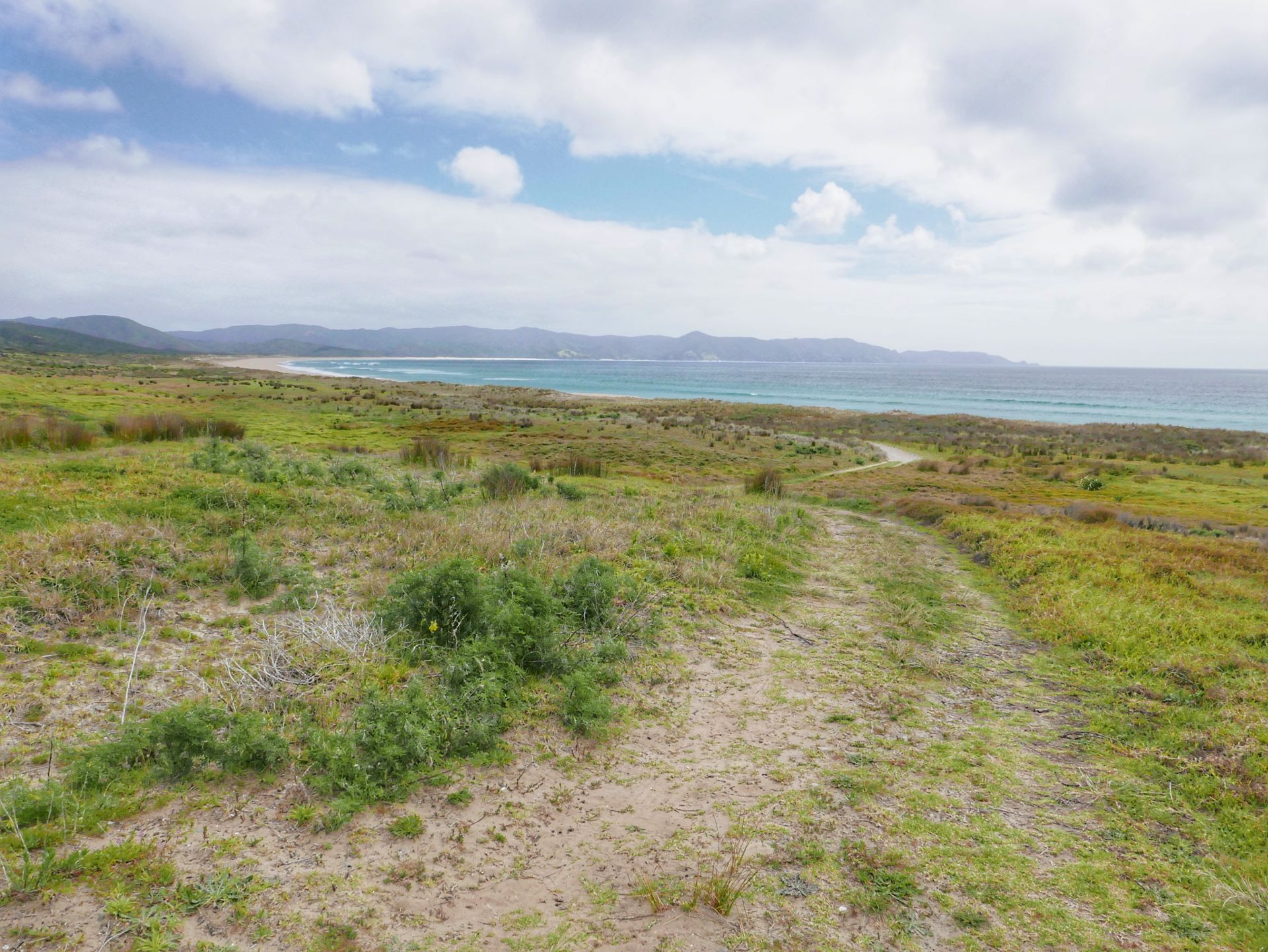 Spirits Bay