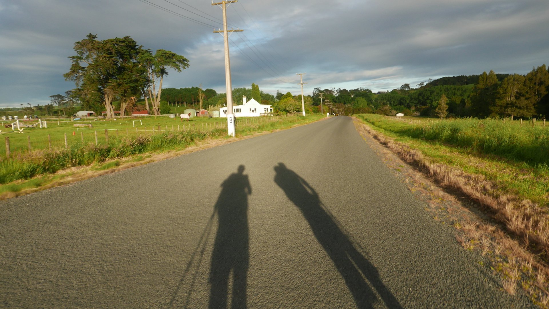 P1030807
