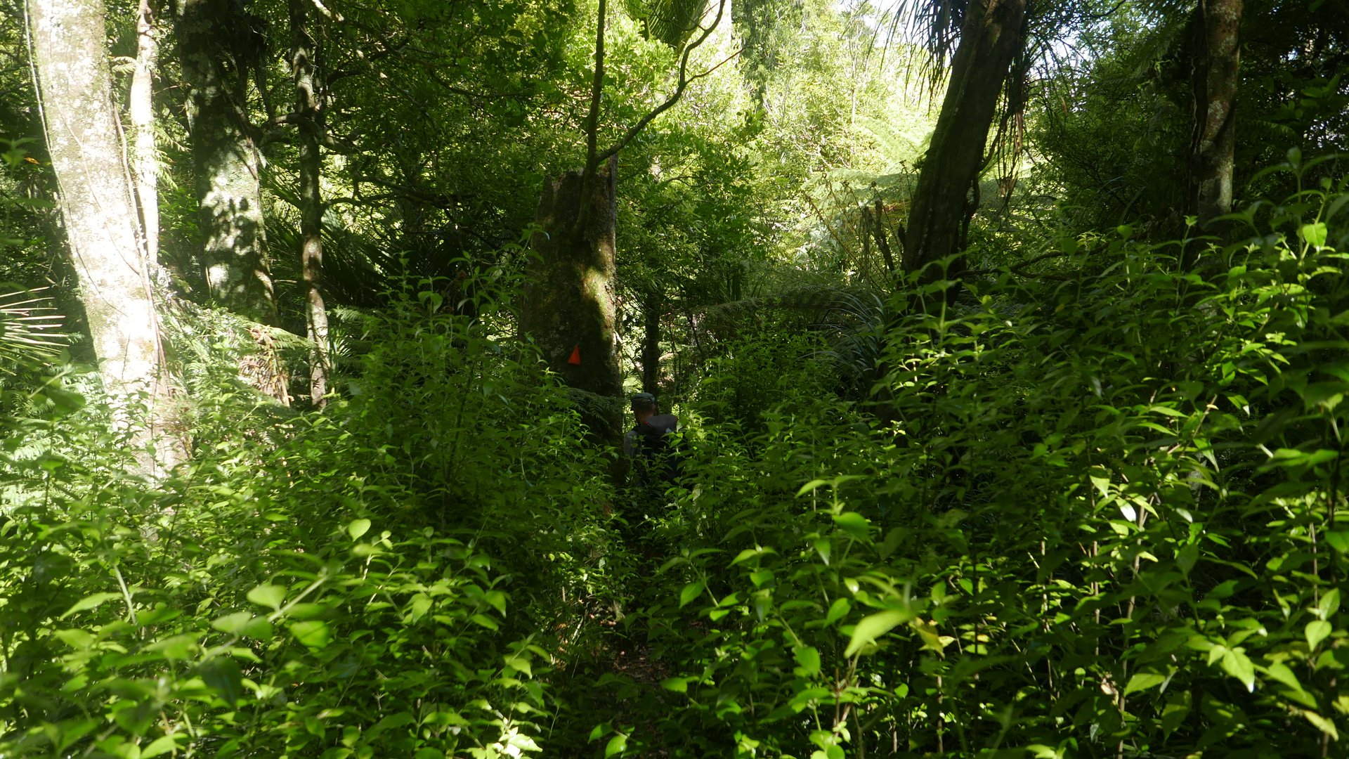 P1040050