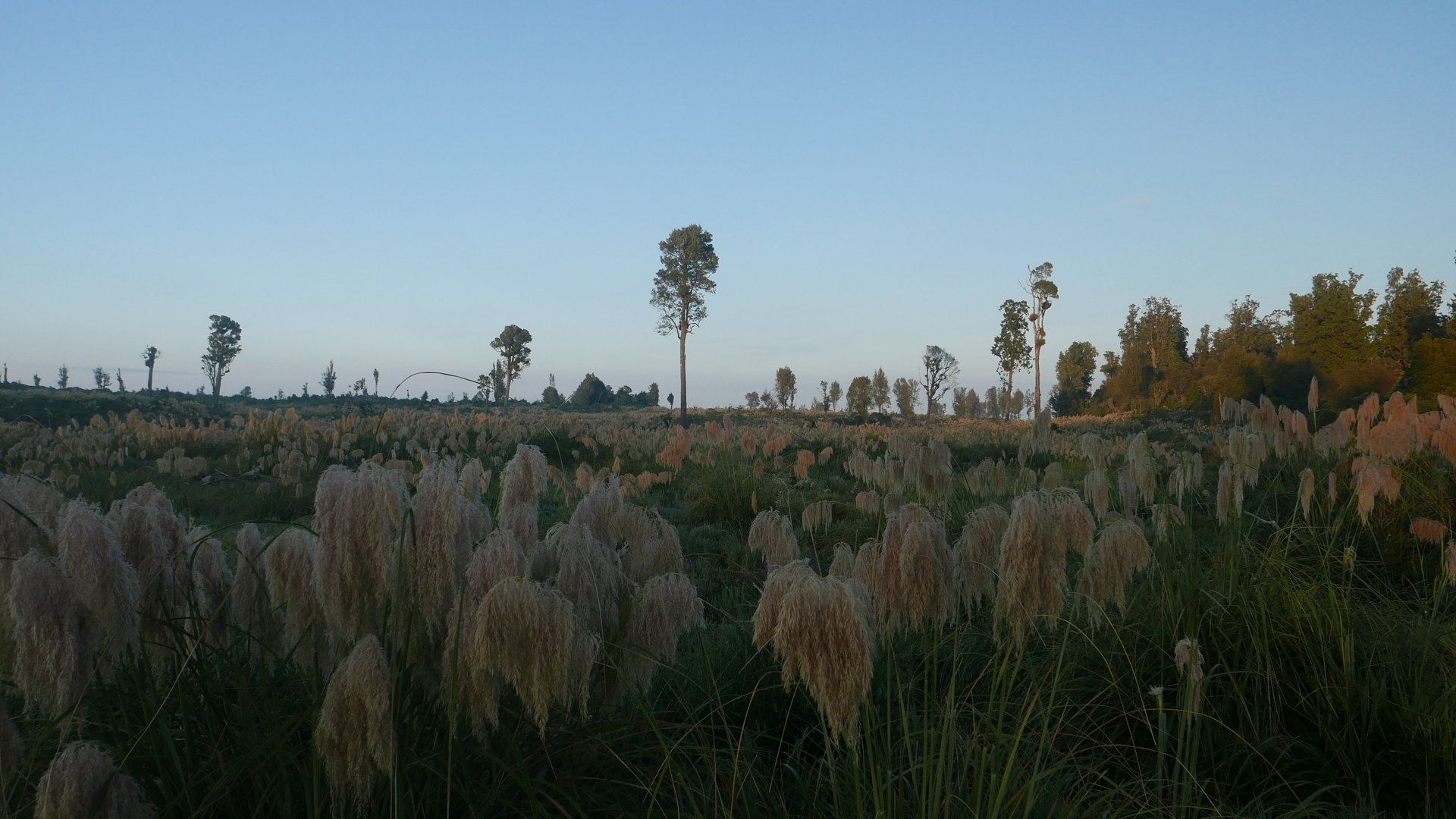 P1040468