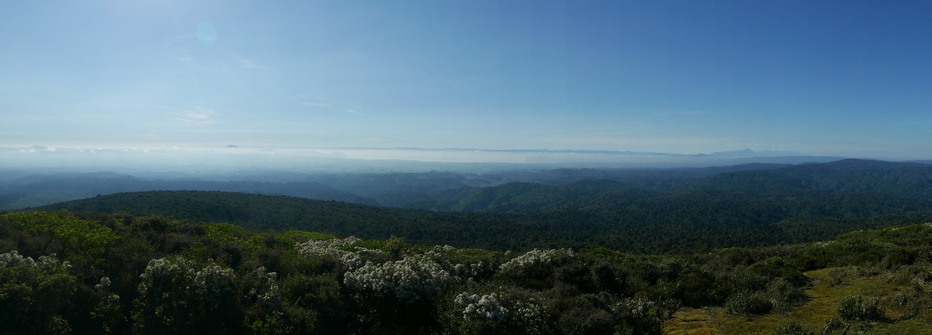 P1040490_01