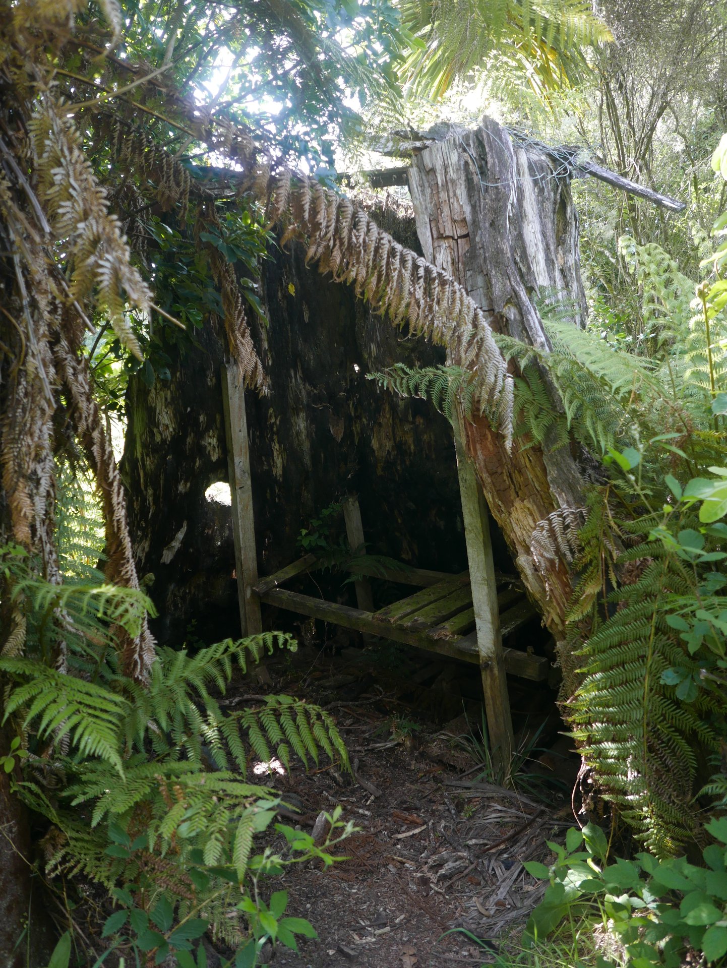 P1040541