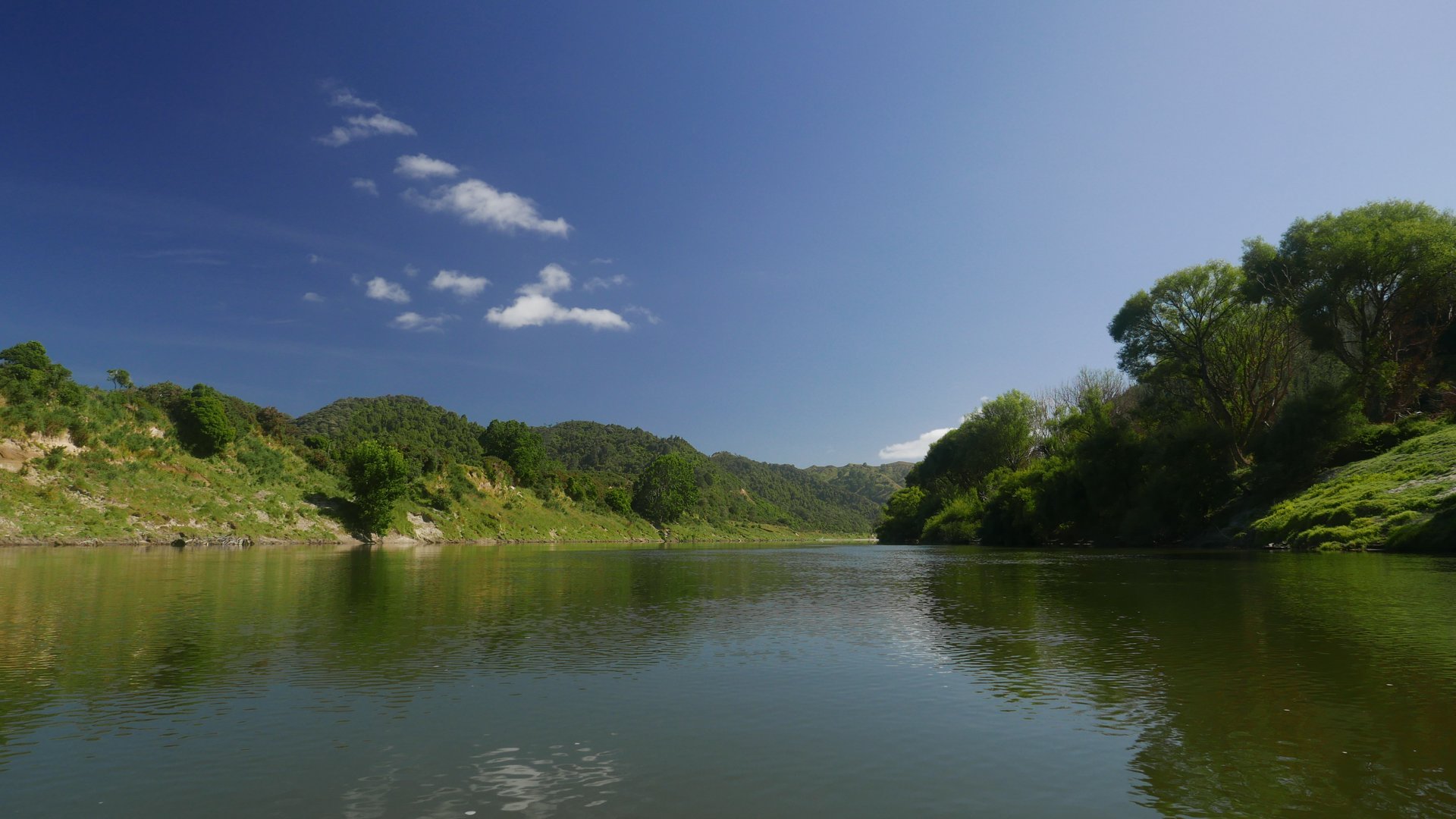 P1050474