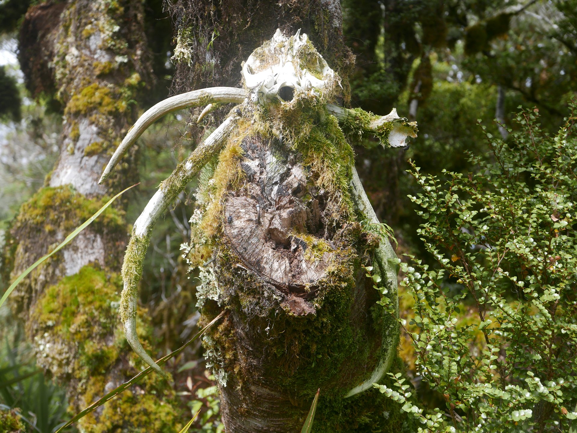 P1050845
