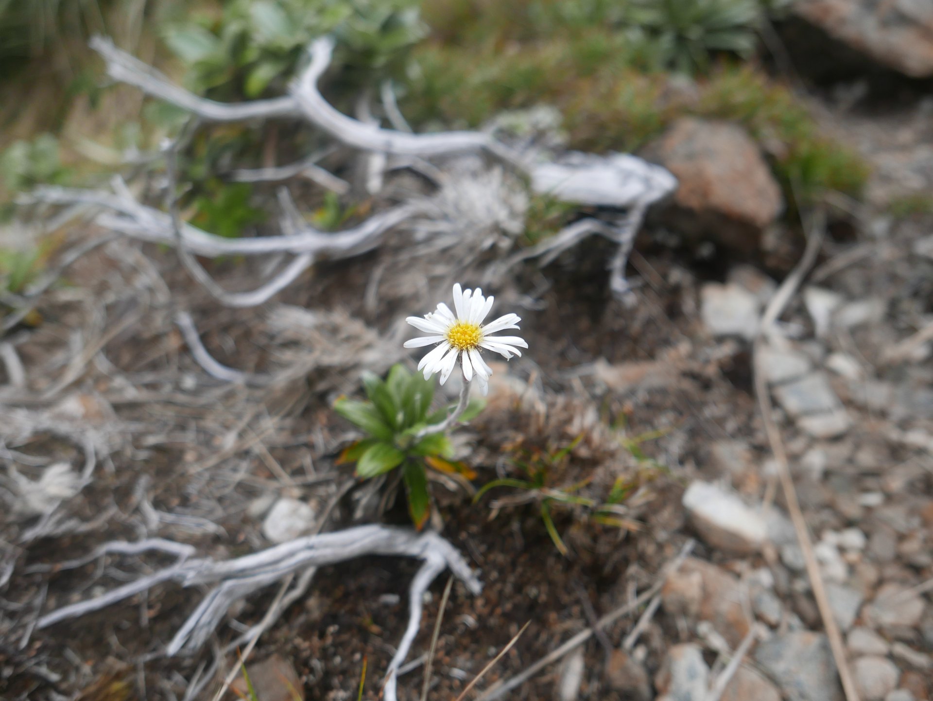 P1050861