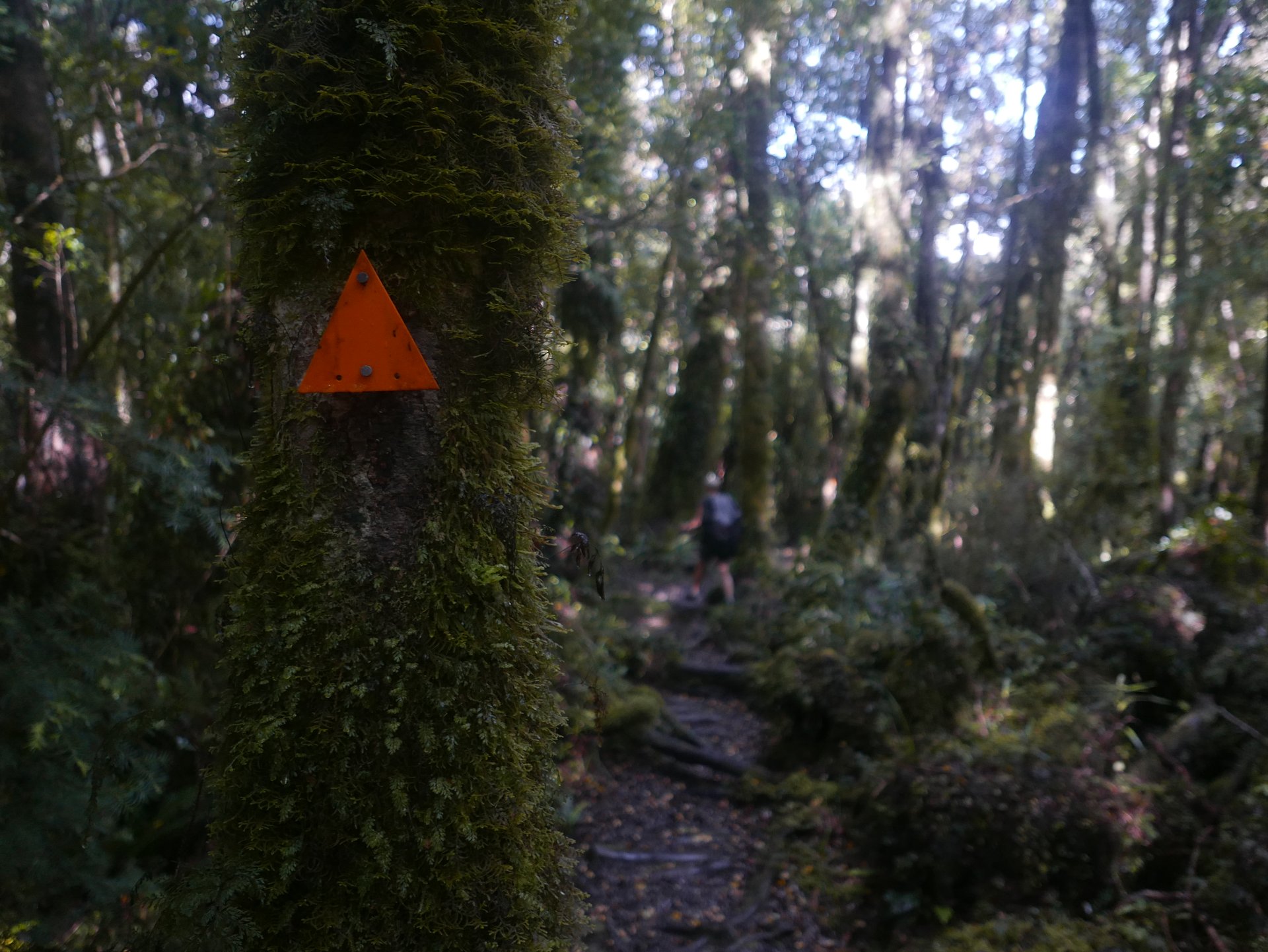 P1050908